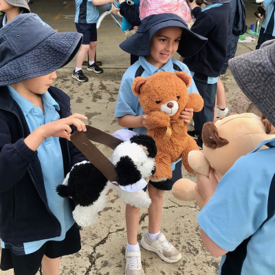 Teddy Bears' Picnic Photo Gallery image